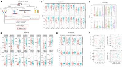 T cell receptor and B cell receptor exhibit unique signatures in tumor and adjacent non-tumor tissues of hepatocellular carcinoma